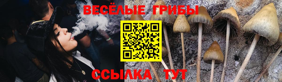 Галлюциногенные грибы Psilocybe  Галлюциногенные грибы Psilocybine cubensis  Вход с VPN  Зеленодольск 